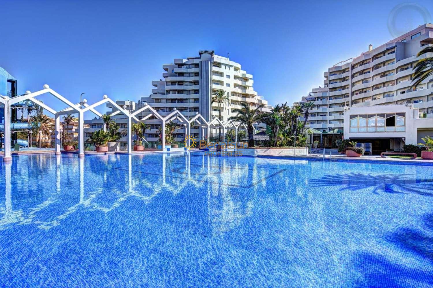 Se alquila desde  15/10/2024 - 15/1/25  bonito apartamento con vistas al mar en 1a línea de playa en Benalmádena .