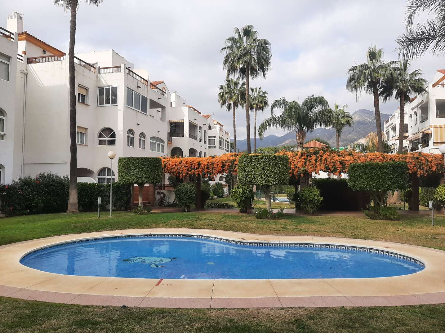 MEDIA TEMPORADA . SE ALQUILA BONITO APARTAMENTO EN PLANTA  BAJA DEL  2.4.25-30.6.25 EN BENALMÁDENA COSTA