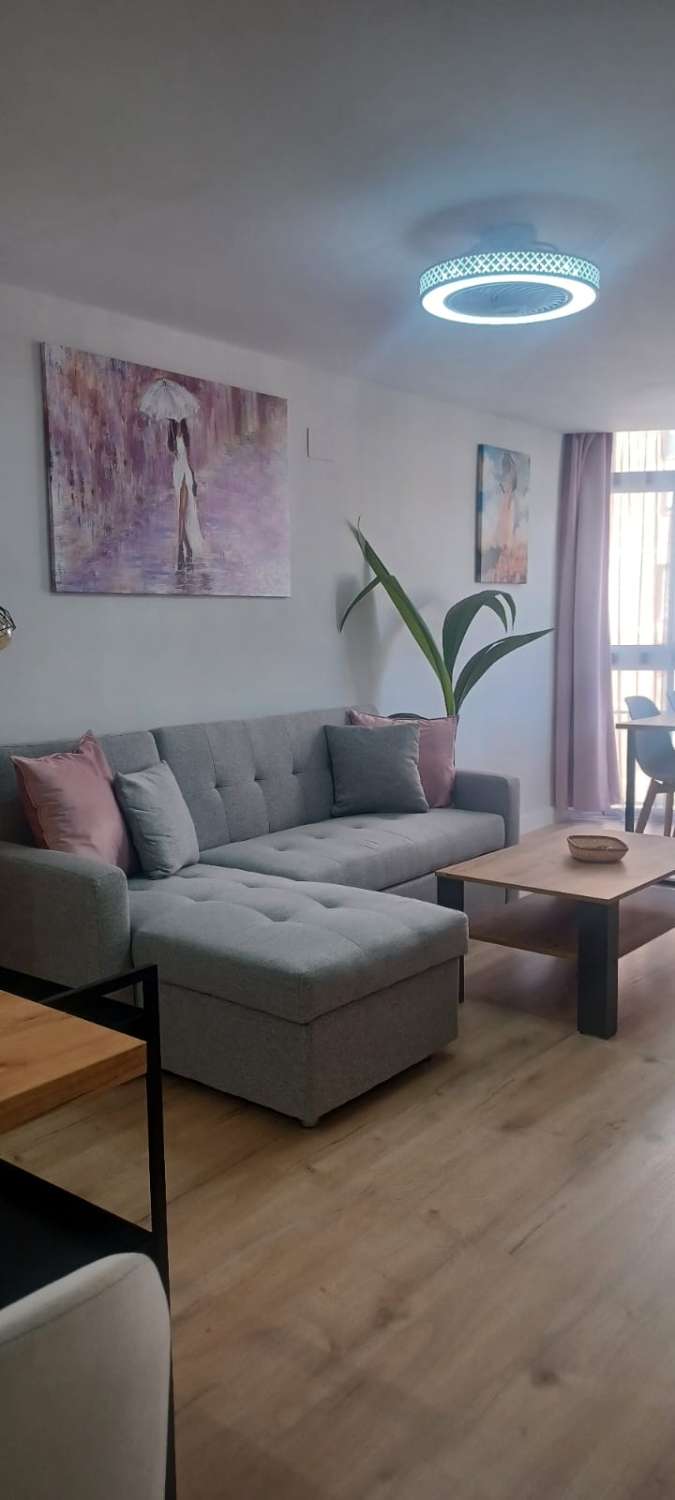 HALF SEASON. FOR RENT FROM 30.01.25-30.6.25 NICE APARTMENT WITH SEA VIEWS IN ARROYO DE LA MIEL