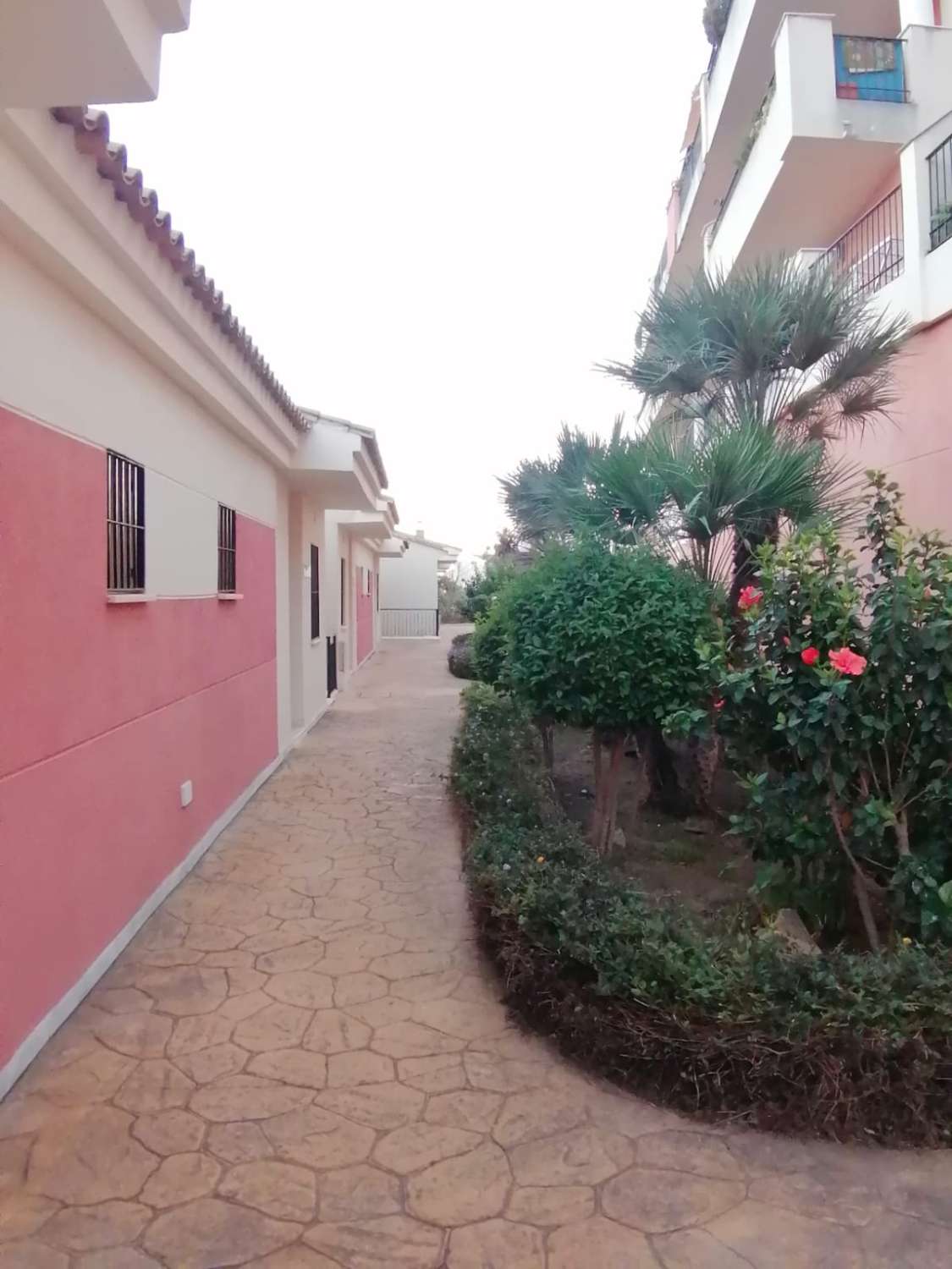 MEDIA TEMPORADA . SE ALQUILA DE 15.9.25-30.6.26 PRECIOSO APARTAMENTO  TIPO ADOSADO EN NUEVA TORREQUEBRADA  (BENALMADENA)