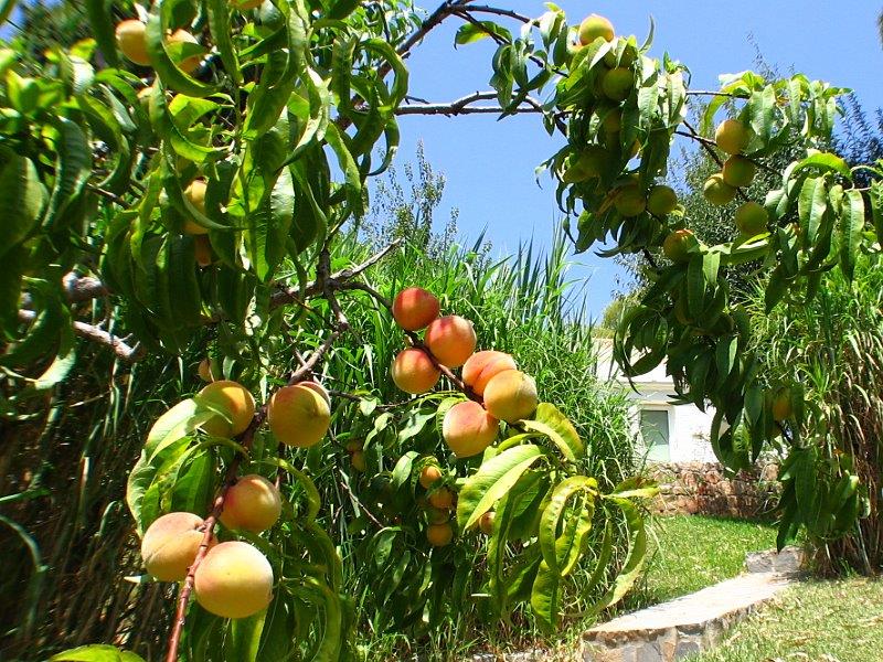 Prächtige Luxusvilla zum Verkauf in Benalmadena Pueblo