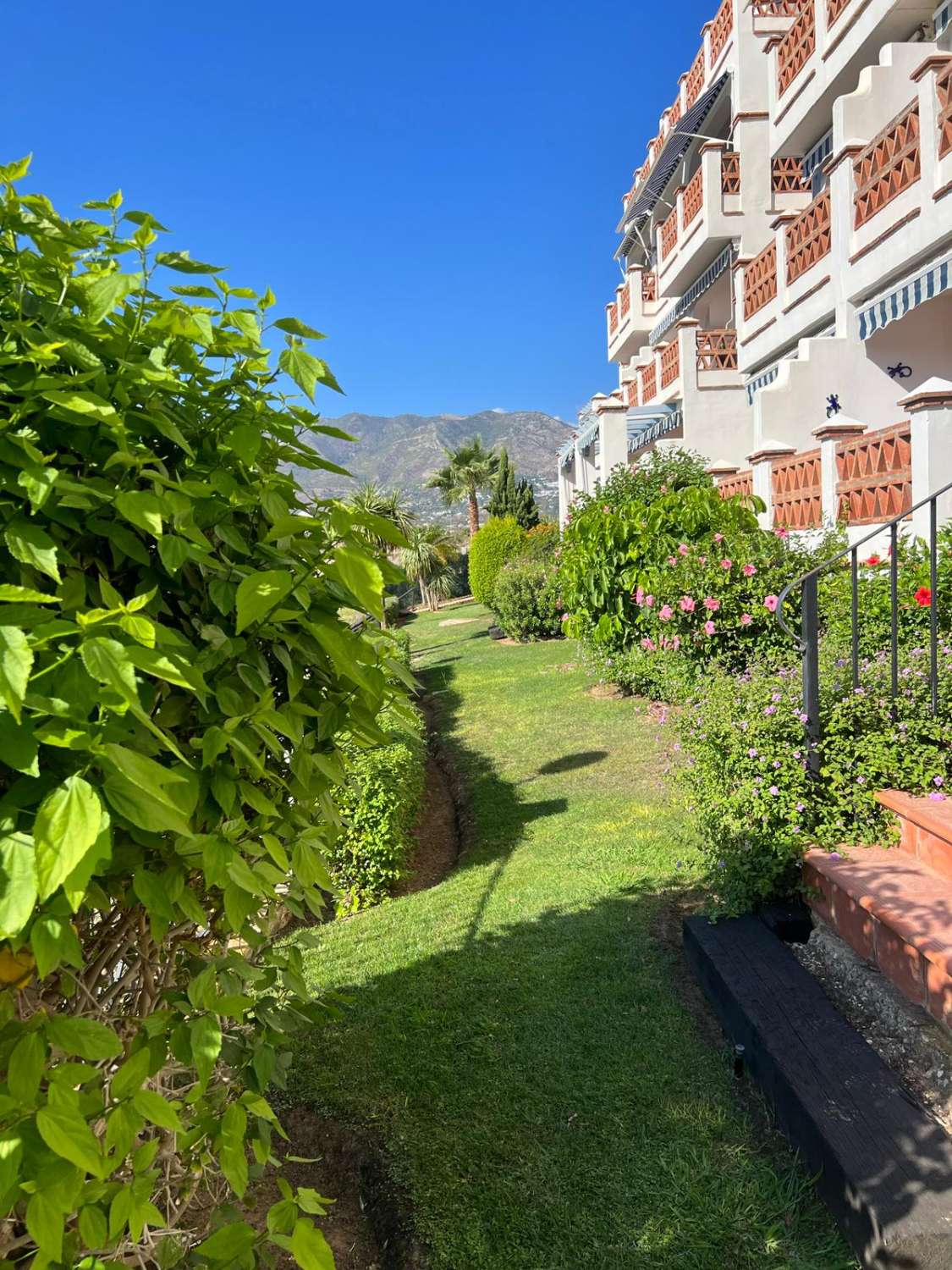 Halbe Saison . Zu vermieten ab sofort bis zum 31.5.25 Schöne Wohnung in Mijas Golf